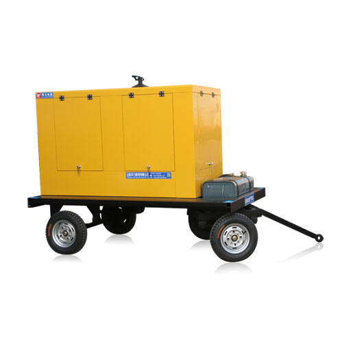 Portable Electric Generators