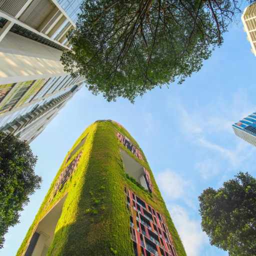 Environmental Advantages